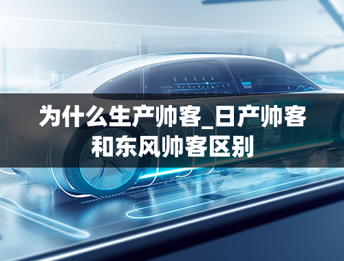 为什么生产帅客_日产帅客和东风帅客区别