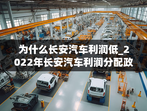 为什么长安汽车利润低_2022年长安汽车利润分配政策的优缺点