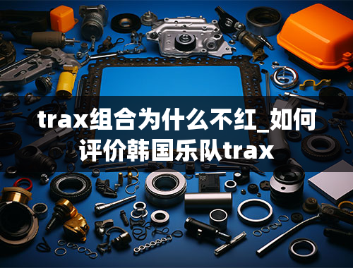 trax组合为什么不红_如何评价韩国乐队trax