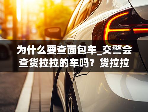 为什么要查面包车_交警会查货拉拉的车吗？货拉拉面包车拉货合法吗