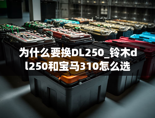 为什么要换DL250_铃木dl250和宝马310怎么选