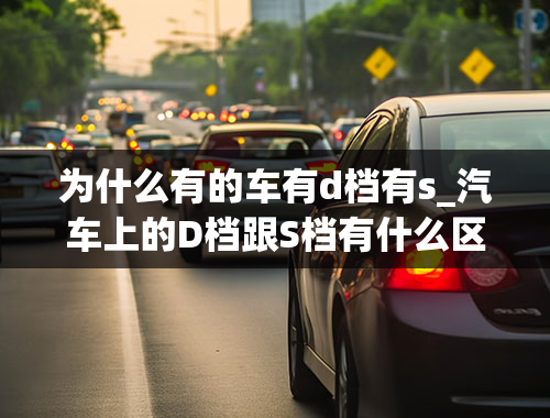 为什么有的车有d档有s_汽车上的D档跟S档有什么区别？