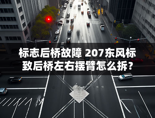 标志后桥故障 207东风标致后桥左右摆臂怎么拆？