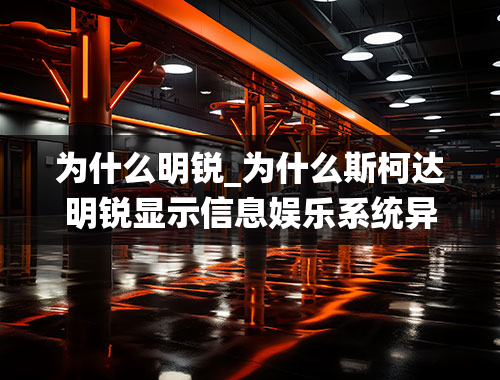 为什么明锐_为什么斯柯达明锐显示信息娱乐系统异常