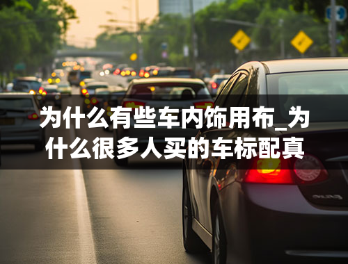 为什么有些车内饰用布_为什么很多人买的车标配真皮座椅却还要套个布的座套？