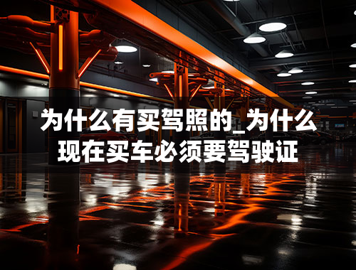 为什么有买驾照的_为什么现在买车必须要驾驶证