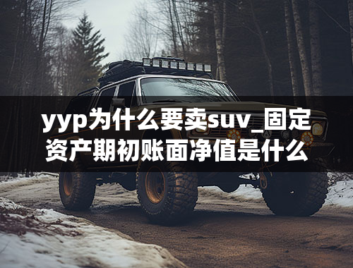 yyp为什么要卖suv_固定资产期初账面净值是什么意思定义