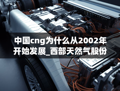 中国cng为什么从2002年开始发展_西部天然气股份有限公司的公司未来十年发展战略