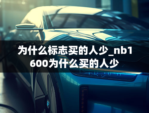 为什么标志买的人少_nb1600为什么买的人少