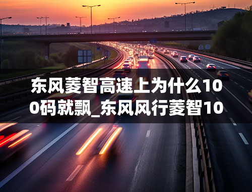 东风菱智高速上为什么100码就飘_东风风行菱智100码左右方向机发抖是什么原因