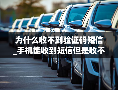 为什么收不到验证码短信_手机能收到短信但是收不到验证码怎么解决