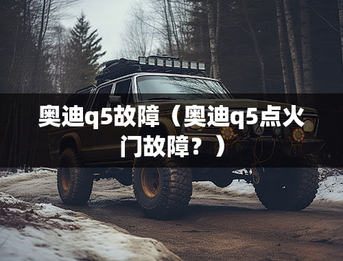 奥迪q5故障（奥迪q5点火门故障？）