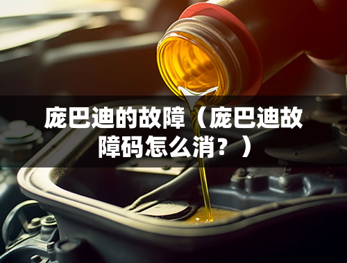 庞巴迪的故障（庞巴迪故障码怎么消？）