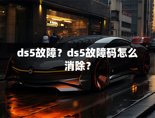 ds5故障？ds5故障码怎么消除？