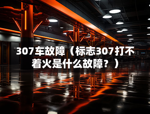 307车故障（标志307打不着火是什么故障？）