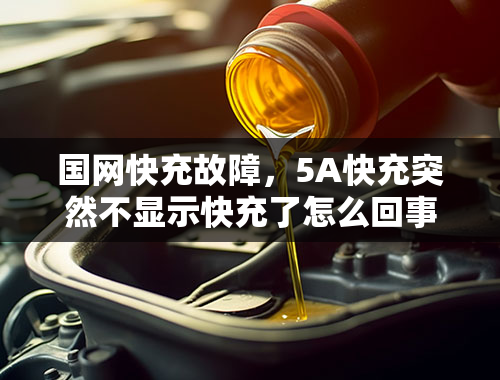 国网快充故障，5A快充突然不显示快充了怎么回事？