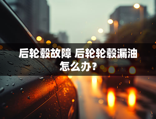 后轮毂故障 后轮轮毂漏油怎么办？