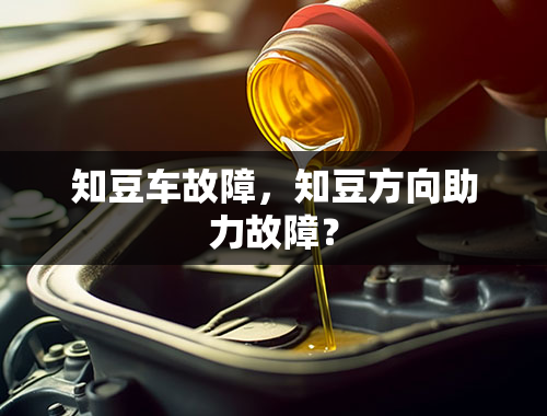 知豆车故障，知豆方向助力故障？