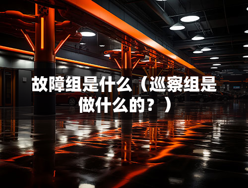 故障组是什么（巡察组是做什么的？）