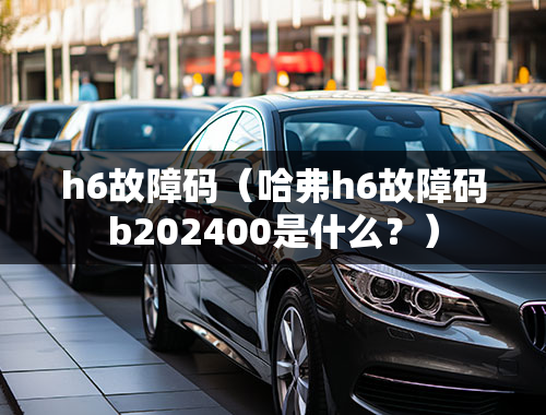 h6故障码（哈弗h6故障码b202400是什么？）