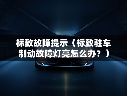 标致故障提示（标致驻车制动故障灯亮怎么办？）