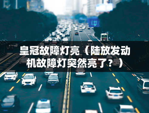 皇冠故障灯亮（陆放发动机故障灯突然亮了？）