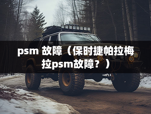 psm 故障（保时捷帕拉梅拉psm故障？）