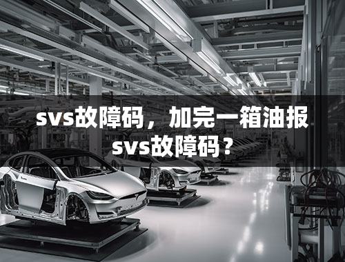 svs故障码，加完一箱油报svs故障码？