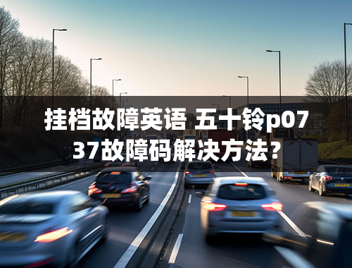 挂档故障英语 五十铃p0737故障码解决方法？