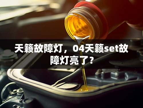 天籁故障灯，04天籁set故障灯亮了？