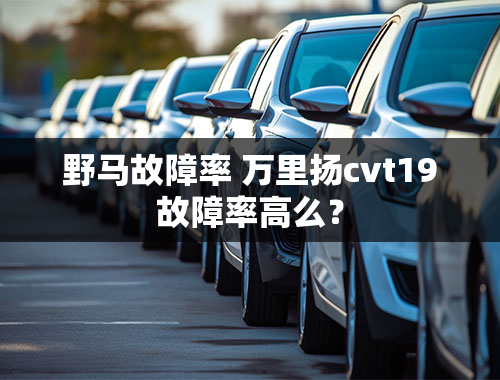 野马故障率 万里扬cvt19故障率高么？