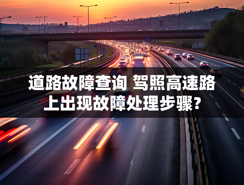 道路故障查询 驾照高速路上出现故障处理步骤？