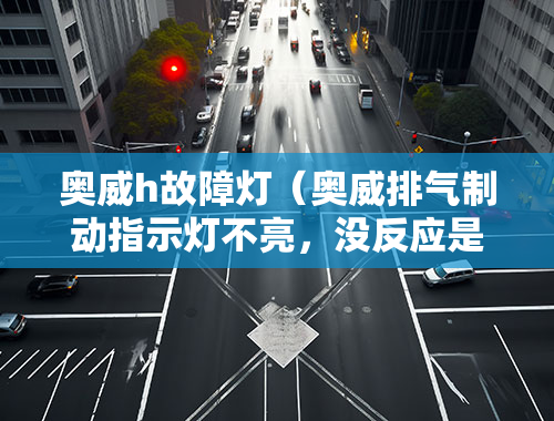 奥威h故障灯（奥威排气制动指示灯不亮，没反应是咋回事？）