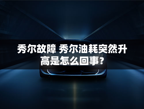 秀尔故障 秀尔油耗突然升高是怎么回事？