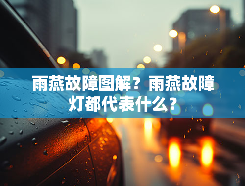 雨燕故障图解？雨燕故障灯都代表什么？