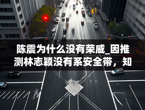 陈震为什么没有荣威_因推测林志颖没有系安全带，知名车评人陈震遭网暴，你怎么看？