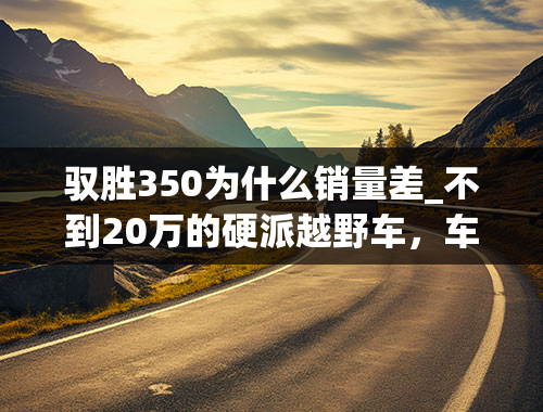 驭胜350为什么销量差_不到20万的硬派越野车，车身带大梁，汽油柴油动力都带T，还配8AT