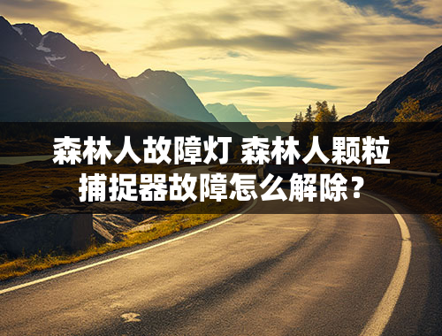 森林人故障灯 森林人颗粒捕捉器故障怎么解除？