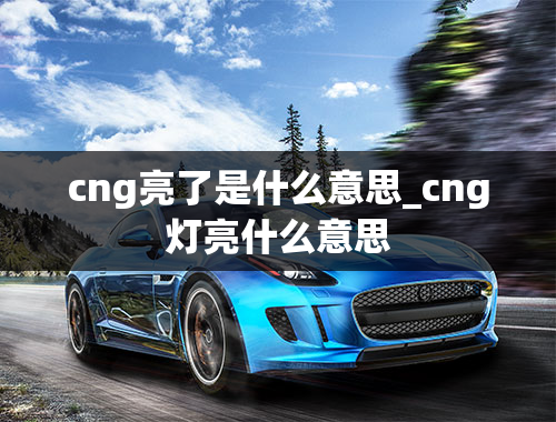 cng亮了是什么意思_cng灯亮什么意思