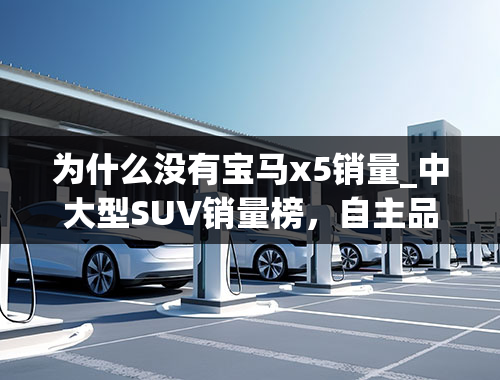 为什么没有宝马x5销量_中大型SUV销量榜，自主品牌压宝马X5当第一