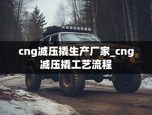 cng减压撬生产厂家_cng减压撬工艺流程