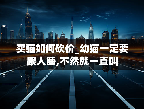 买猫如何砍价_幼猫一定要跟人睡,不然就一直叫