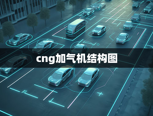 cng加气机结构图