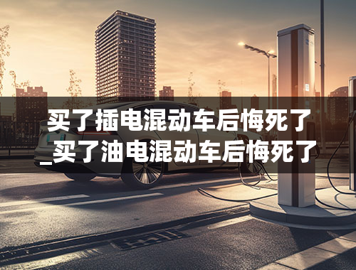 买了插电混动车后悔死了_买了油电混动车后悔死了