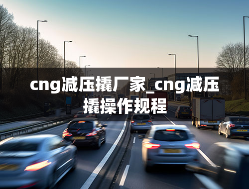 cng减压撬厂家_cng减压撬操作规程