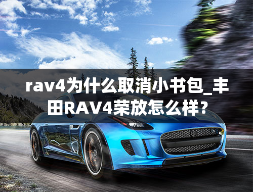 rav4为什么取消小书包_丰田RAV4荣放怎么样？