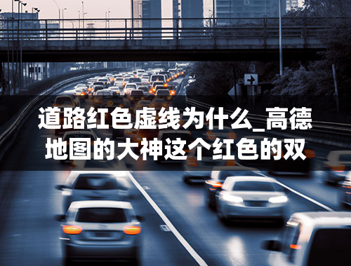 道路红色虚线为什么_高德地图的大神这个红色的双虚线是什么意思？看不懂