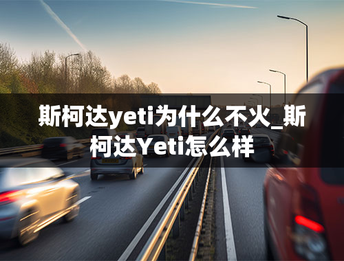 斯柯达yeti为什么不火_斯柯达Yeti怎么样