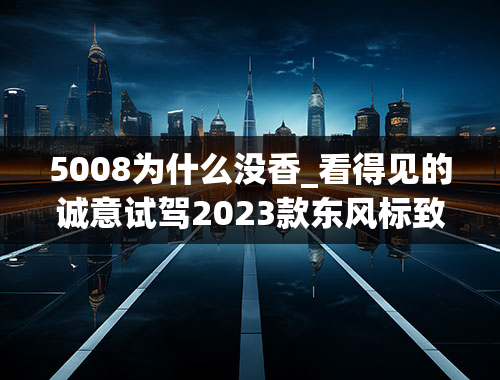 5008为什么没香_看得见的诚意试驾2023款东风标致5008