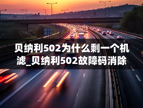 贝纳利502为什么剩一个机滤_贝纳利502故障码消除